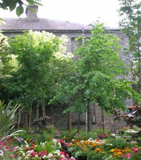 Preparation Work for Entente Florale Competition at Kilkenny Borough CouncilÃ¢â‚¬â„¢s Nursery